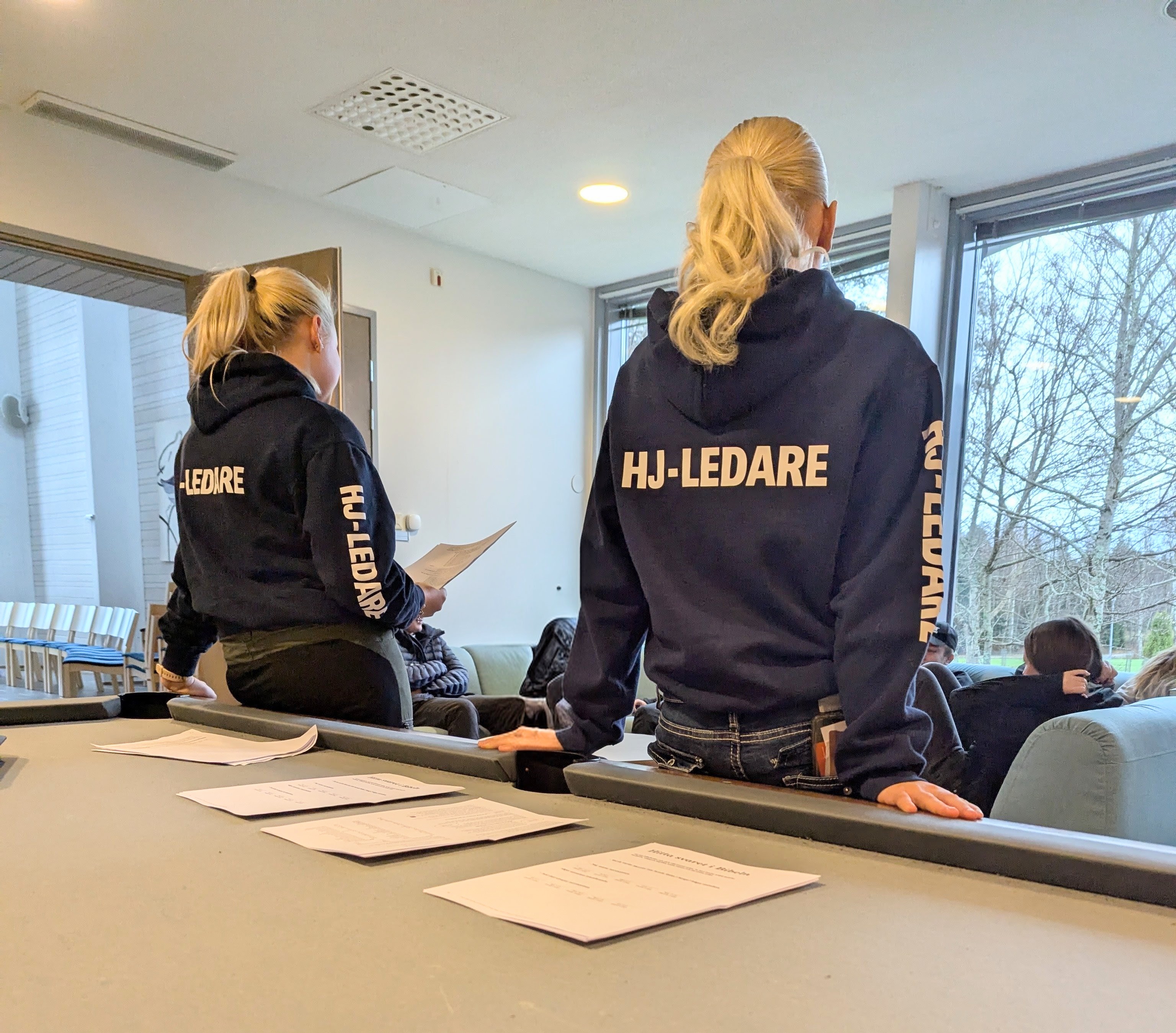 Hjälpledare